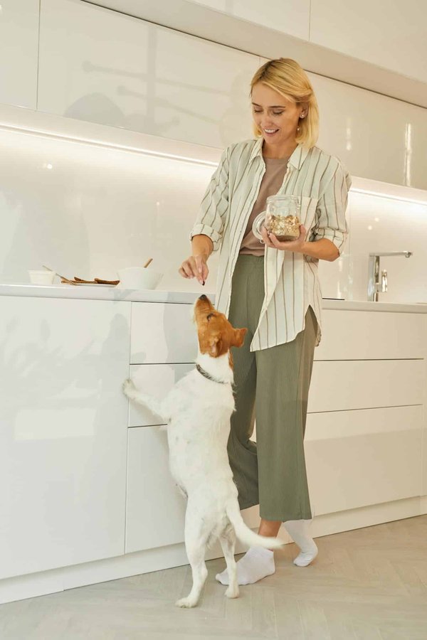 Friandises naturelles pour chien : Le secret d'un chien heureux et en bonne santé